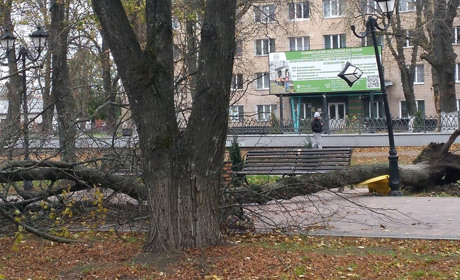 Вітер сьогодні наробив шкоди...