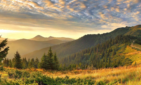 На Закарпатті проведуть онлайн-захід для розвитку туризму: чим корисно для Рахівської громади