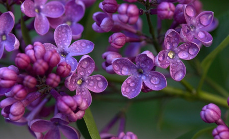 Якою буде погода на Сватівщині з 10 по 16 травня 2021: прогноз на тиждень