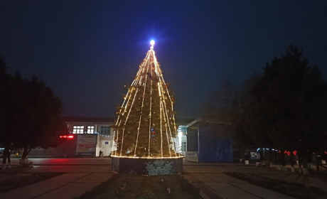 В Лазурному на Херсонщині до Нового року прикрасили живу ялинку та роблять цікаві фотозони