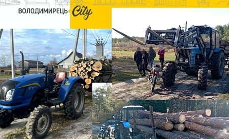 Три випадки порушення законодавства про порубку деревини зафіксовано в Вараському районі