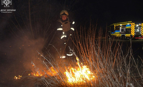 Не провокуйте пожежі в екосистемах: ДСНС інформує