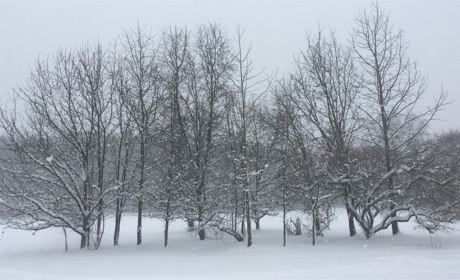 У Сватівському районі прогнозують ускладнення погоди — перший рівень небезпечності, жовтий