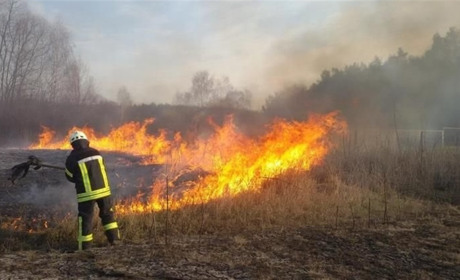 Якщо ви спалюєте суху рослинність, то готуйтеся до адмінвідповідальності!
