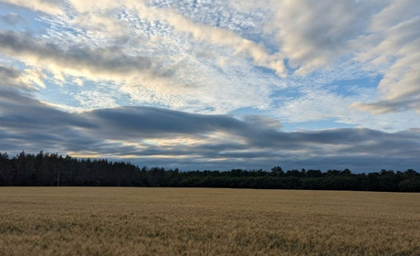 Дочекались сильної спеки: на початку тижня синоптики прогнозують до +37...