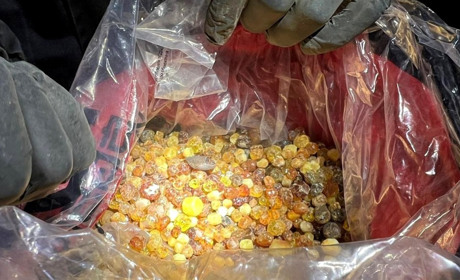 На блокпосту в Сарненському районі вилучили понад 300 кг бурштину