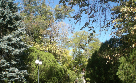 «Цвітуть осінні тихі небеса». Осінь у Новій Каховці