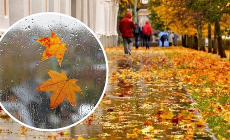 На початку наступного тижня на Сумщині дощитиме: прогноз погоди на 26-28 вересня