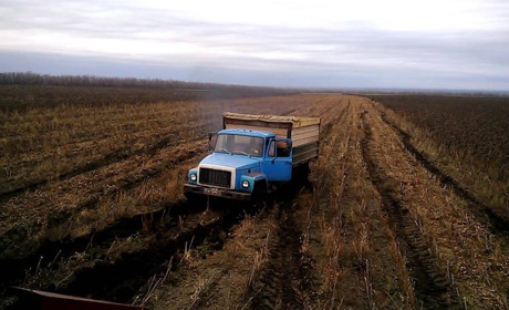 Поліція Білопільщини розкрила крадіжку майже 30 тонн соняшникового насіння