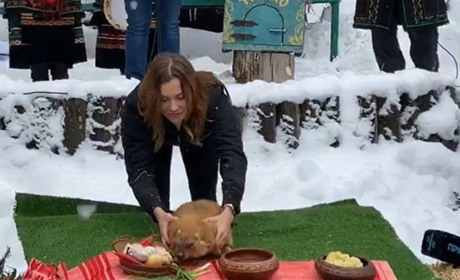 Бабак Тимко III з Харківщини спрогнозував, якою буде весна