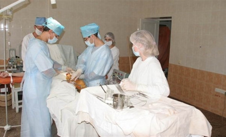 Потрібні нирки, серце, легені