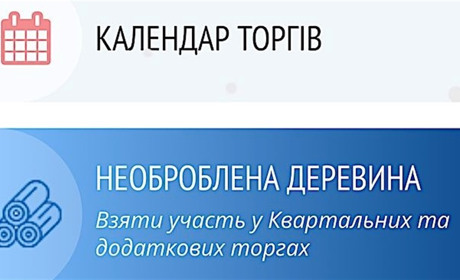 Як оцінити якість деревини до електронних торгів