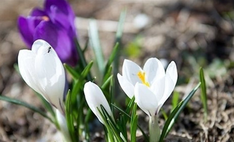 Погода у Старокостянтинові на 16-22 березня: прохолодно, сухо та коли чекати справжнє потепління