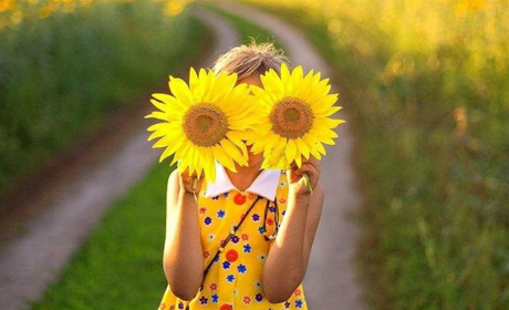 Два місяці літа - позаду. Кліматичні підсумки липня від Сумського гідрометцентру