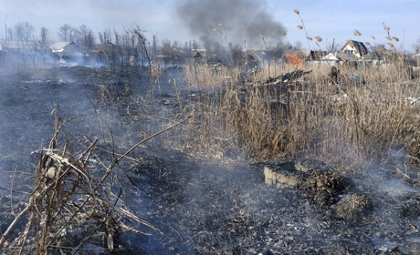 Апокаліпсис по-сватівськи: у районі за тиждень сталося 17 пожеж у екосистемі. Гинуть тварини