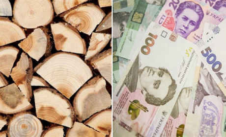 Жителі прифронтових областей отримають допомогу на тверде паливо: що треба зробити вже зараз