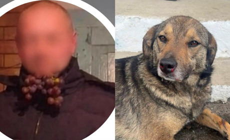 У Клесові чоловік жорстоко побив собаку: тварину врятували