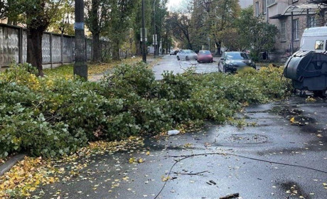 Сильний вітер зриває дахи, утеплення з будинків і валить дерева: негода вирує і на Переяславщині