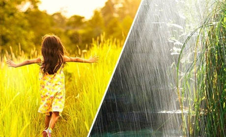 Погода до кінця тижня: інформують Сумський та Український гідрометцентри