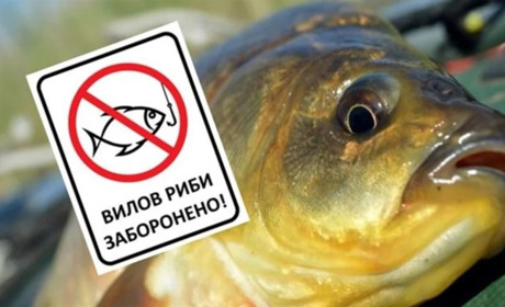 Із 1 листопада на Хмельниччині заборонено рибалити на зимувальних ямах