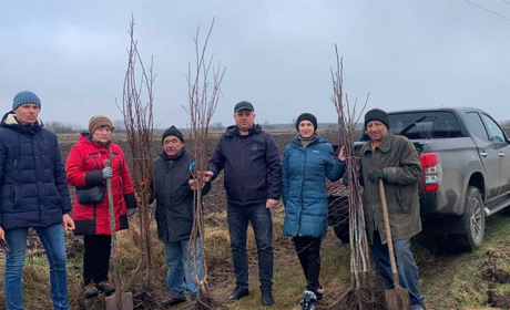 Згуртувалися і висадили 100 дерев: як знам’янчани озеленювали територію