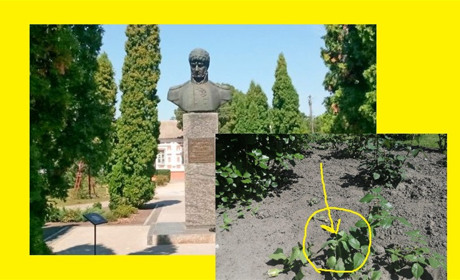 Мунварта просить встановити особи на фото, які цинічно вирвали квіти у сквері Лисянського