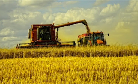 Вся надія розвитку Річківської громади - на сільгоспвиробників