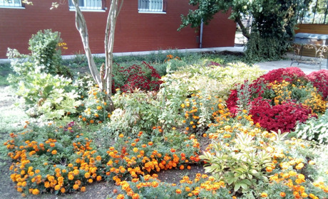 На Покрову буде тепло