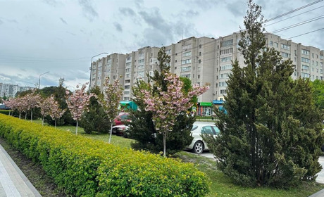 Радіаційний стан навколо Хмельницької АЕС за минулий тиждень