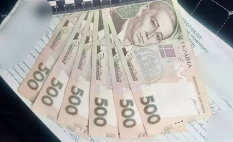 Нетверезий водій потрапив у ДТП на Звягельщині та намагався відкупитися від поліцейських
