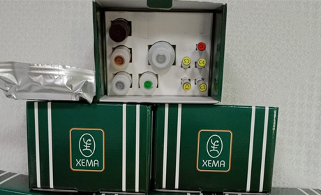 БФ «Дітям Нікополя» запустив проєкт з профілактики онкологічних захворювань: подробиці