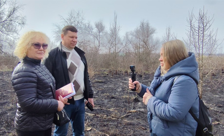 Масові підпали сухостою в Дмитрівській громаді: хто відповідатиме за знищені землі
