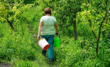 До колодязя більше не ходитимуть. У Підлісному Олексинці планують прокласти 6 кілометрів водогону