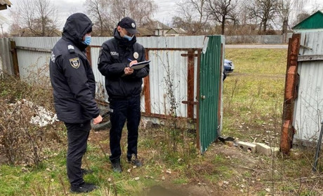 Чоловік розстріляв чужу собаку через те, що вона, начебто, нападала на овець