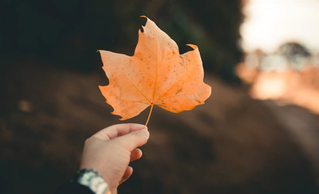 Якою буде погода на Сватівщині з 11 по 17 жовтня 2021: прогноз на тиждень