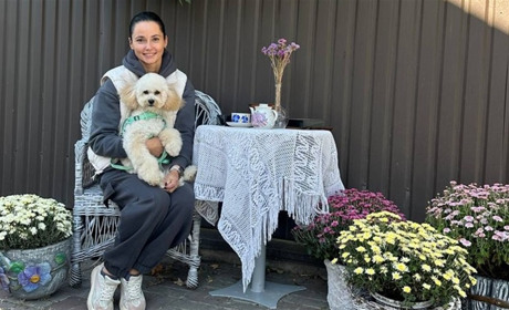 Зробіть фото і допоможіть безпритульним тваринам: у Переяславі діє благодійна фотозона від "Мухтар"