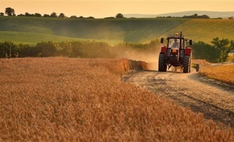Верховна Рада України дозволила продаж сільськогосподарських земель: закон прийняли цієї ночі