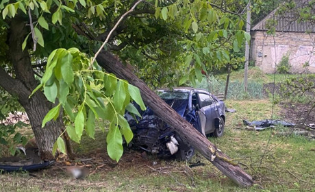 На світанку в дерево: у Вознесенському районі в аварії загинула пасажирка