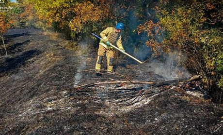 На Білопільщині вогнеборці ліквідували загоряння сухої рослинності