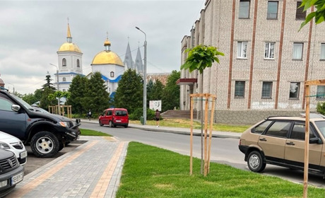 Погода в Барі на тиждень: 21–27 червня 2025 року