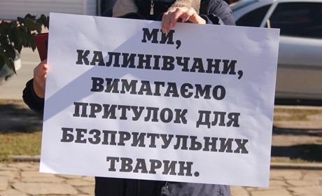 Як калинівчани організувалися та стали на захист бездомних тварин. Громадська ініціатива 