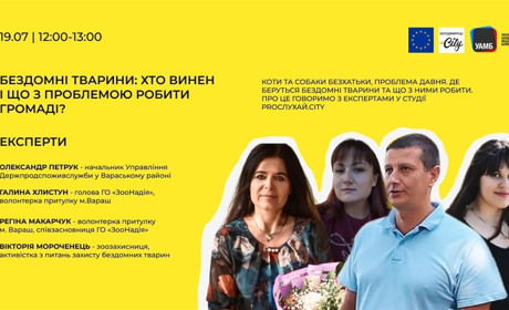 Бездомні тварини: хто винен і що з проблемою робити громаді? Редакція зібрала експертів