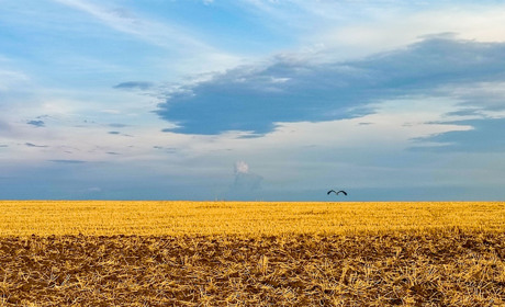 Світлиною молодого фотохудожника з Чортківщини поділилася в Instagram геніальна Ліна Костенко
