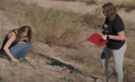 Дивовижні Олешківські піски