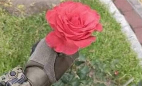 Квітка герані (продовження)