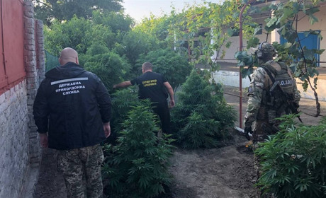 В Измаильском районе пограничники обнаружили наркотики стоимостью полмиллиона долларов (видео)
