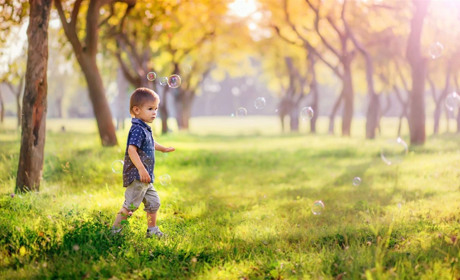 Сезон найсоковитіших світлин! Білопільський фотограф — про секрети й місця для вдалих кадрів восени