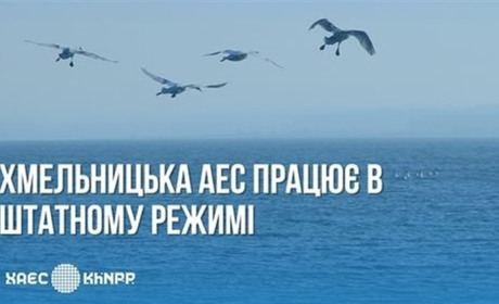 Хмельницька АЕС розслідує причину масового мору риби на водоймі-охолоджувачі