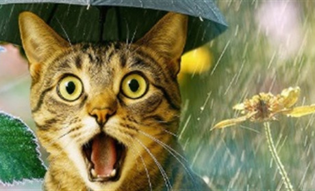 Увесь найближчий тиждень суттєвого тепла не буде