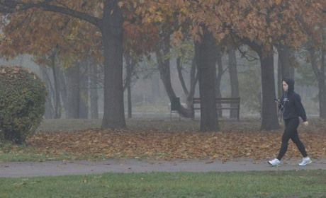 Найближчими днями очікуємо туманів: прогноз погоди на Сумщині та в Україні